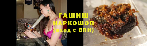 индика Алзамай