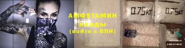 гидра Алексеевка