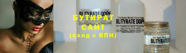 индика Алзамай