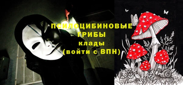 амф Алексин