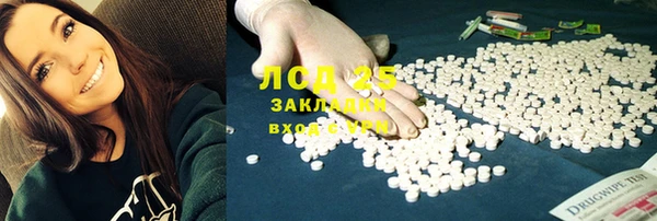 гидра Алексеевка