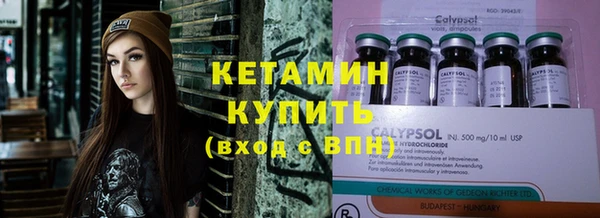 индика Алзамай