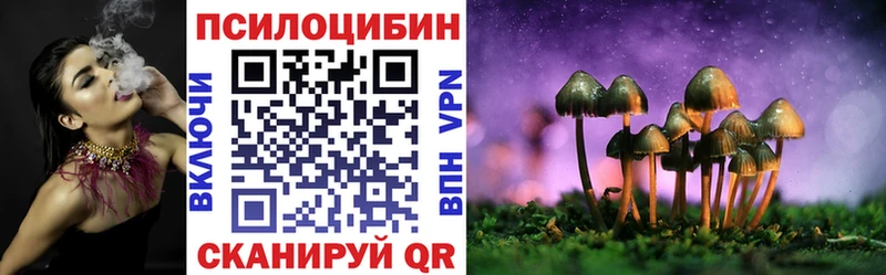 Псилоцибиновые грибы Magic Shrooms  Купить где  Южа 
